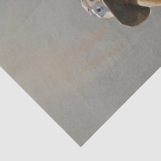 Decoupage Whimsical Kanbit, Ziege, Schafe Bauern Seidenpapier (Ausschnitt)