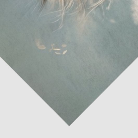 Decoupage Whimsical Kitten Balancing on High Wire Seidenpapier (Ausschnitt)