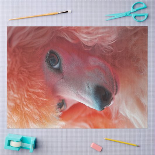 Decoupage Whimsical Pink Haairdo Standard Poodle Seidenpapier (Basteln)