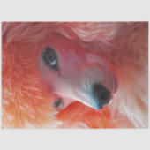 Decoupage Whimsical Pink Haairdo Standard Poodle Seidenpapier (Vorderseite)