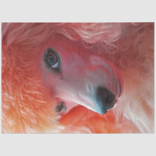 Decoupage Whimsical Pink Haairdo Standard Poodle Seidenpapier (Vorderseite)