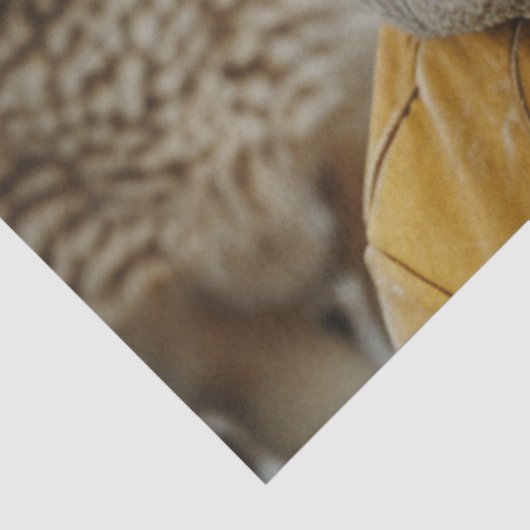 Decoupage Whimsical Sheep Winter Kleidung & Brille Seidenpapier (Ausschnitt)