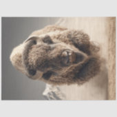 Decoupage Wild Bison Dustborne Charge Wüste Seidenpapier (Vorderseite)