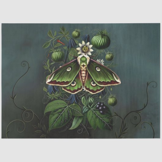 Decoupage Woodland Moth Illustration Seidenpapier (Vorderseite)