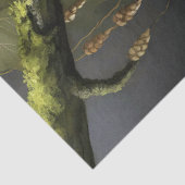 Decoupage Woodland Moth Illustration Seidenpapier (Ausschnitt)