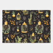 Decoupage Wrapping Paper Terrariums Set 3 Geschenkpapier Set (Vorderseite 2)