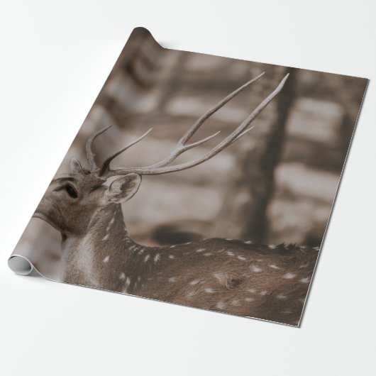 DEE MIT ANTLERS GESCHENKPAPIER (Ungerollt)