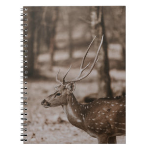 DEE MIT ANTLERS NOTIZBLOCK