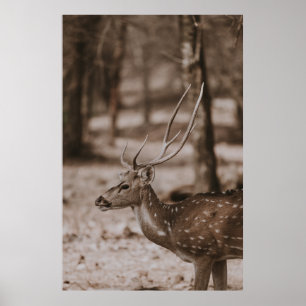 DEE MIT ANTLERS POSTER