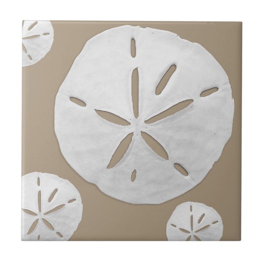 Deep Beige & White Tropical Beach Sand Dollar Fliese (Vorderseite)