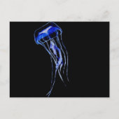 Deep Blue Postkarte (Vorderseite)