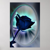 Deep blue rose poster (Vorne)