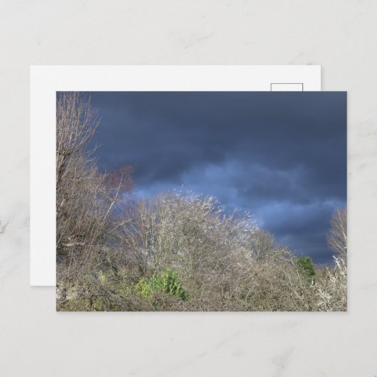 Deep Blue Skyline Postkarte (Vorne/Hinten)