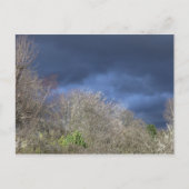 Deep Blue Skyline Postkarte (Vorderseite)