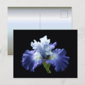 Deep Blue und White Iris Postkarte (Vorne/Hinten)