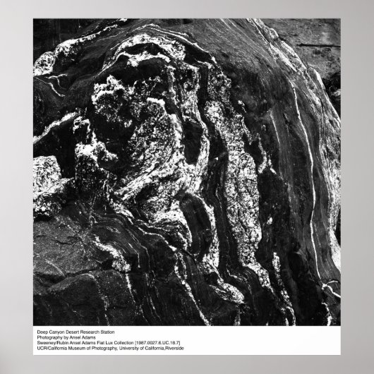 Deep Canyon Wüstenforschungsstation von Ansel Adam Poster (Vorne)