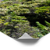 Deep Creek Cove Panorama Poster (Ecke)