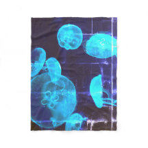 Deep Dive Buddha heute #2 Cosy Ocean