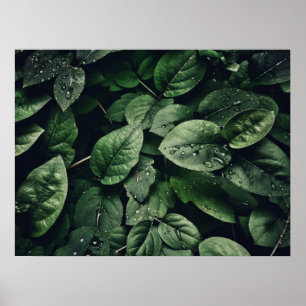 Deep Green Jungle Leaf Foliage Poster