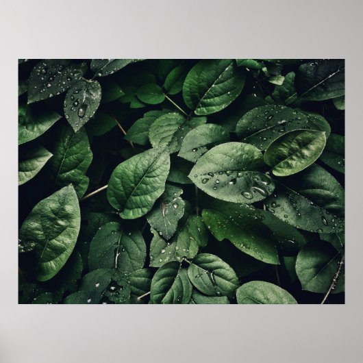 Deep Green Jungle Leaf Foliage Poster (Vorne)