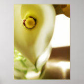 Deep In Poster (Vorne)