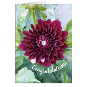 Deep Lila Dahlia Blume Herzlichen Glückwunsch Kart