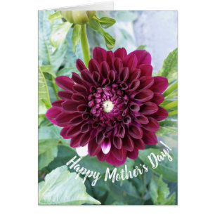 Deep Lila Dahlia Blume Muttertagskarte