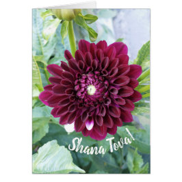 Deep Lila Dahlia Blume Rosh Hashanah Card