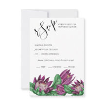 Deep Lila King Protea