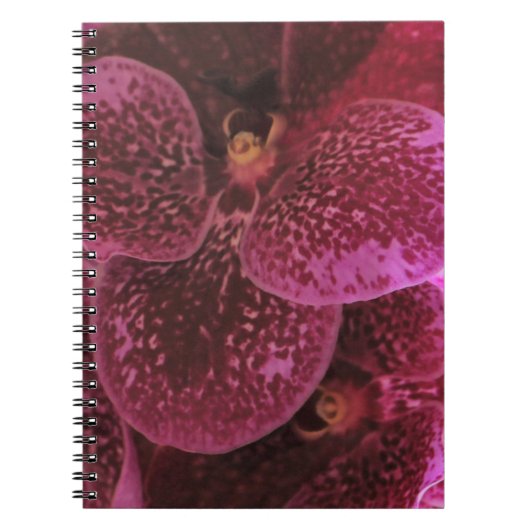 Deep Lila Orchid Spiral Notebook III Notizblock (Vorderseite)