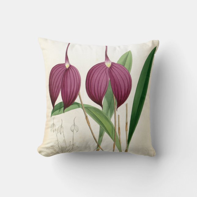 Deep Lila Orchid Vintag Masdevallia Harryana Kissen (Vorderseite)