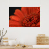 Deep Orange Gerbera Poster (Küche)