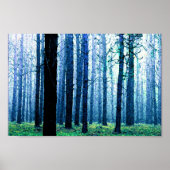 Deep Piney Woods Poster (Vorne)