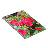 Deep Pink Dahlias Spiral Notebook Notizblock (Rechte Seite)