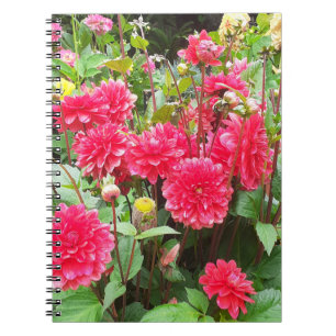 Deep Pink Dahlias Spiral Notebook Notizblock