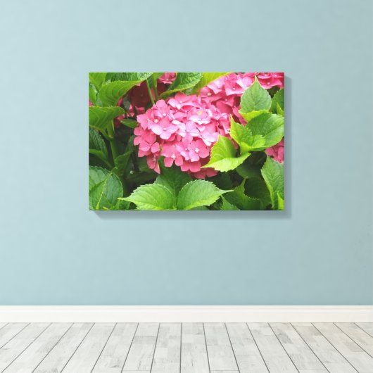 Deep Pink Hydrangea Bloom Leinwanddruck (Insitu (Holzboden))