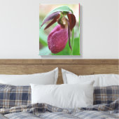 Deep Pink Lady Slipper Orchid Blume Leinwanddruck (Insitu (Schlafzimmer))