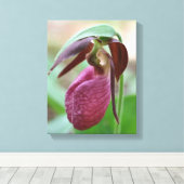 Deep Pink Lady Slipper Orchid Blume Leinwanddruck (Insitu (Holzboden))