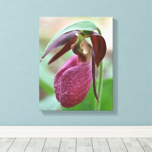 Deep Pink Lady Slipper Orchid Blume Leinwanddruck (Insitu (Holzboden))
