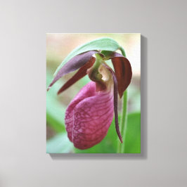 Deep Pink Lady Slipper Orchid Blume Leinwanddruck