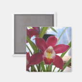Deep Pink Orchid Magnet (Vorderseite/Rückseite)