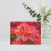 Deep Pink Rhododendron Blume Postkarte (Stehend Vorderseite)