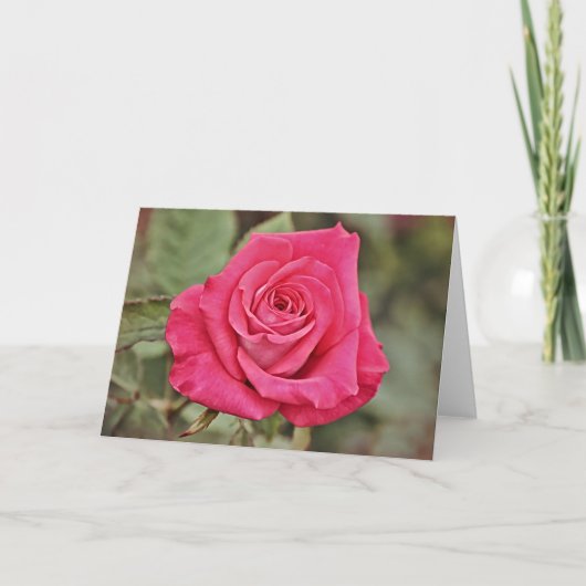 Deep Pink Rose Art Card Karte (Vorderseite)