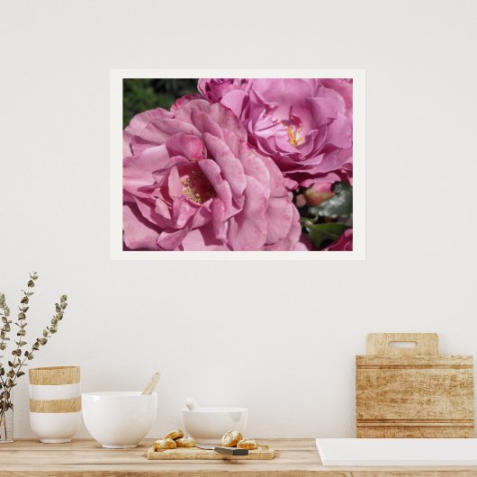 Deep Pink Roses Poster (Küche)