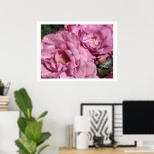 Deep Pink Roses Poster (Heimbüro)
