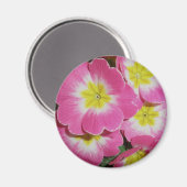 Deep Pink Yellow Primrose Magnet (Vorderseite/Rückseite)