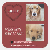 Deep Red Hemangiosarcoma Tribute Square Sticker (Vorderseite)