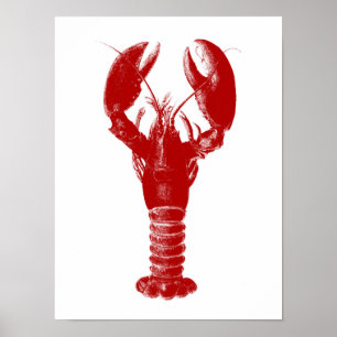Deep Red Lobster auf Weiß Poster
