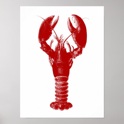 Deep Red Lobster auf Weiß Poster (Vorne)