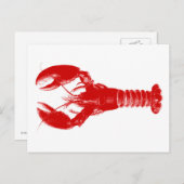 Deep Red Lobster on White Postkarte (Vorne/Hinten)